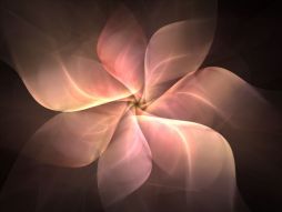 Фотообои Абстрактный цветок 3D