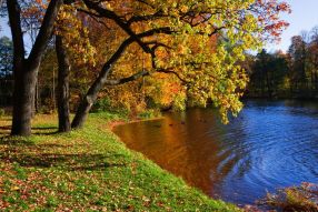 Фотообои Осень и озеро