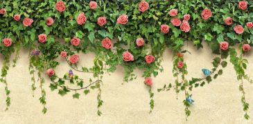 Фотообои 3D Розы оплетают стену