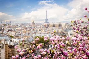 Фотообои Цветущий Париж