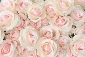 Фотообои Букет из роз