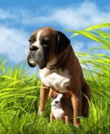 Фреска Собаки в траве