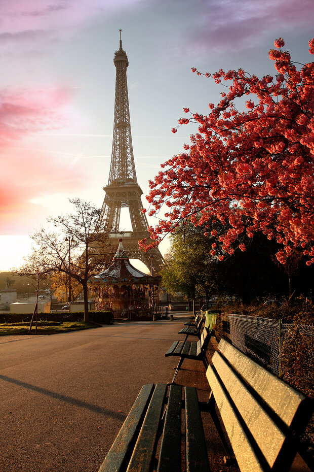 Картина на холсте Эйфелева башня в цвету, арт hd0014901