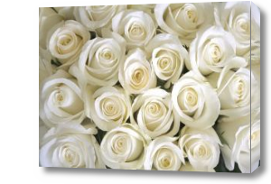 Картина Букет белых роз