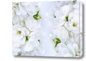 Картина белые цветы